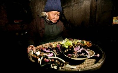 ​西凤 和瑞(西凤天祥和瑞酒)