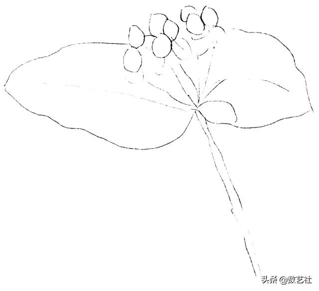 插花作品100例西方插画（你以为花艺师只会插花）(39)