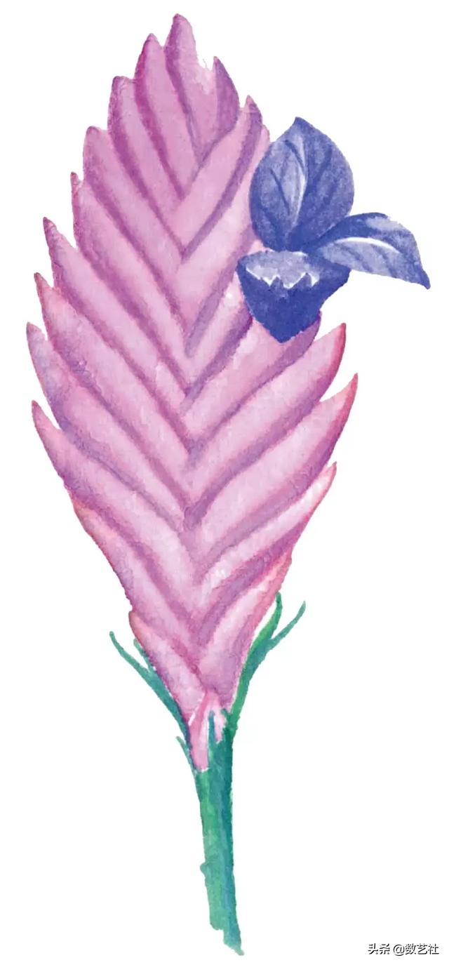 插花作品100例西方插画（你以为花艺师只会插花）(14)