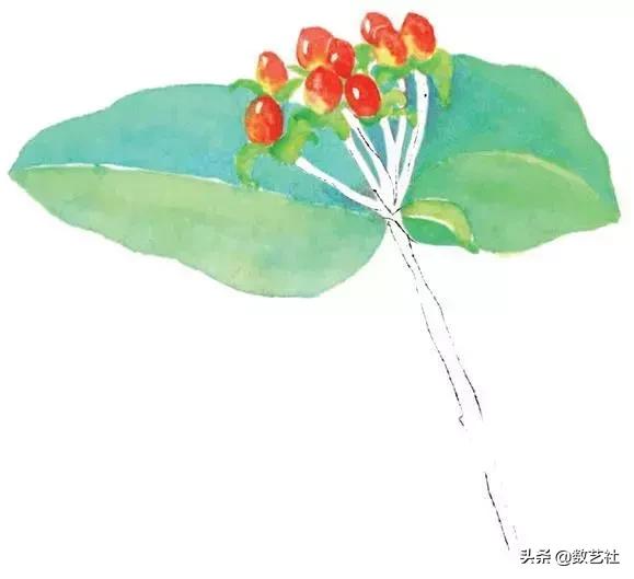 插花作品100例西方插画（你以为花艺师只会插花）(40)