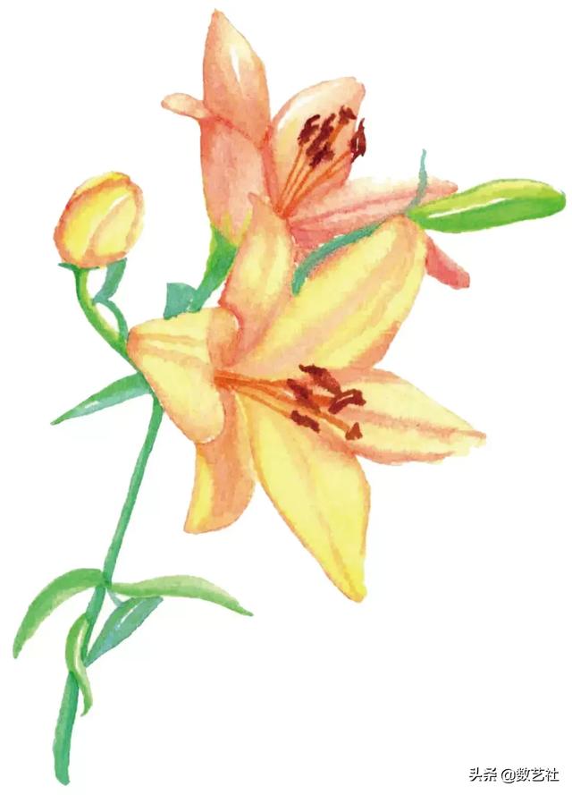 插花作品100例西方插画（你以为花艺师只会插花）(11)