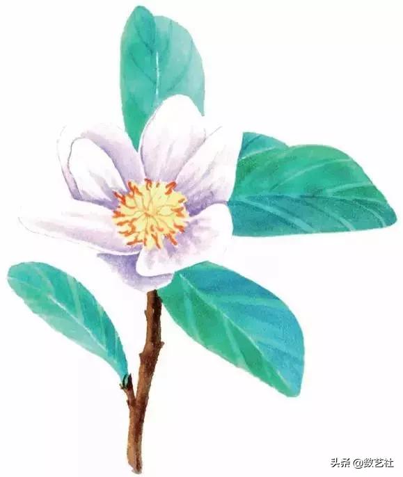 插花作品100例西方插画（你以为花艺师只会插花）(38)