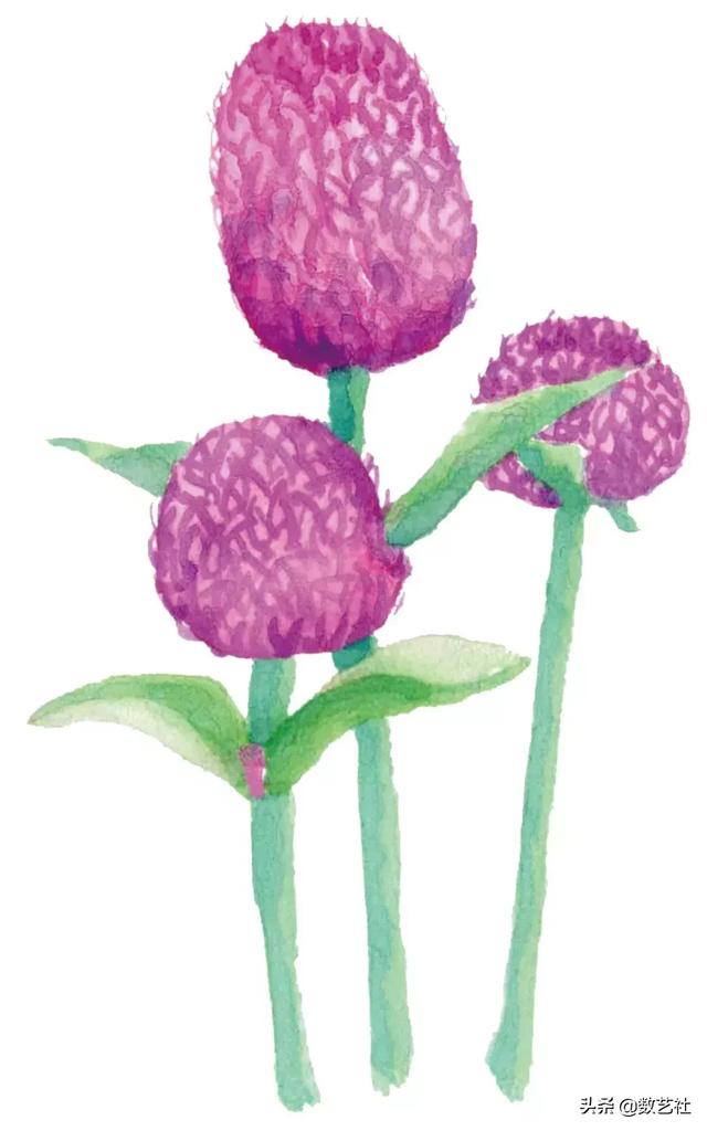 插花作品100例西方插画（你以为花艺师只会插花）(17)