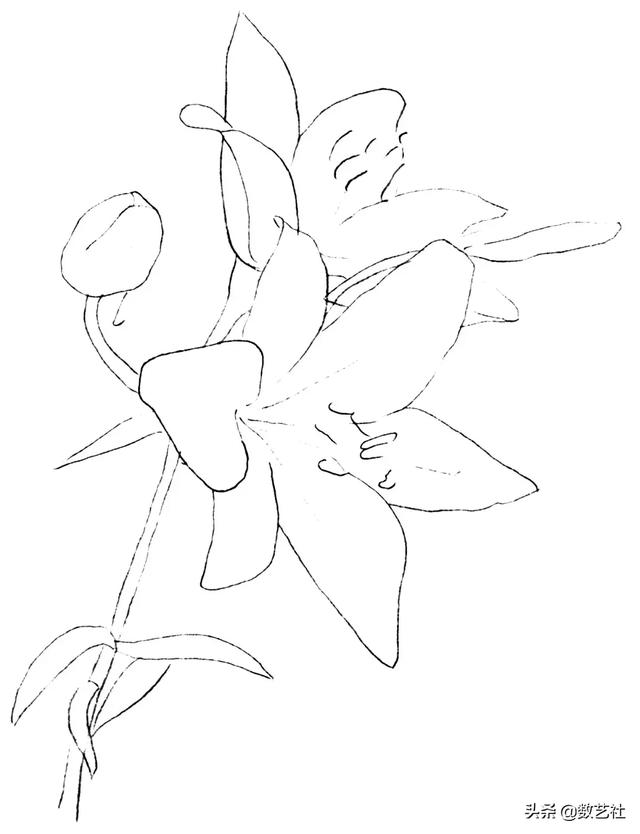 插花作品100例西方插画（你以为花艺师只会插花）(9)