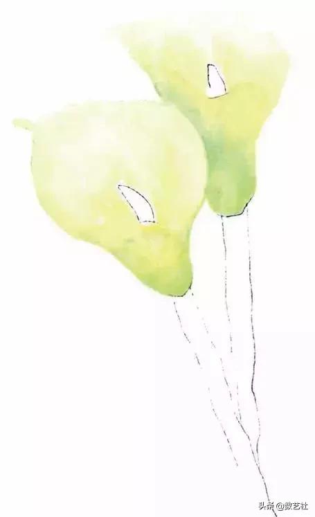 插花作品100例西方插画（你以为花艺师只会插花）(46)