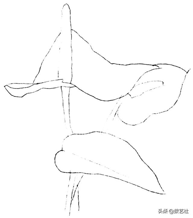 插花作品100例西方插画（你以为花艺师只会插花）(33)