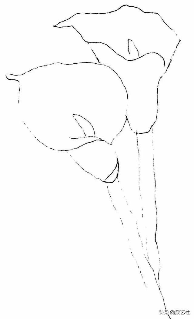 插花作品100例西方插画（你以为花艺师只会插花）(45)