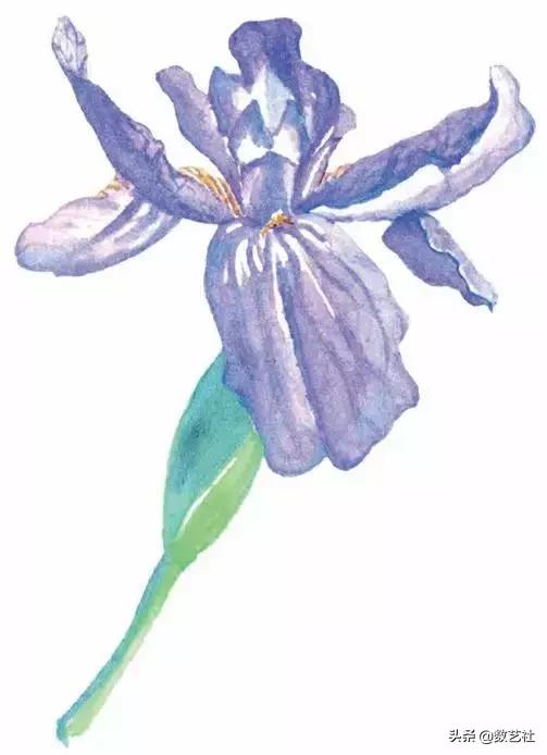 插花作品100例西方插画（你以为花艺师只会插花）(26)