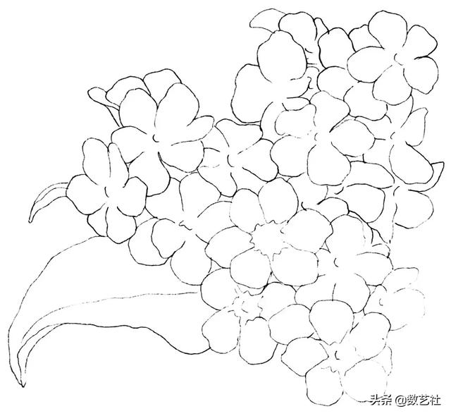 插花作品100例西方插画（你以为花艺师只会插花）(42)