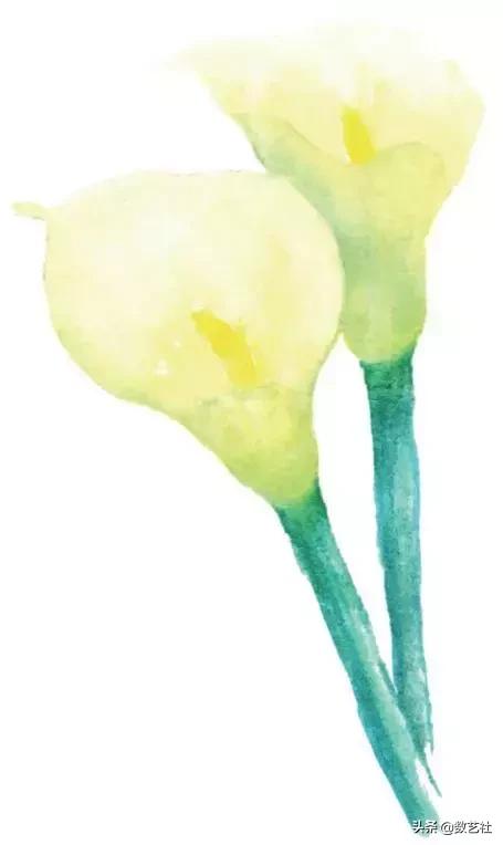 插花作品100例西方插画（你以为花艺师只会插花）(47)