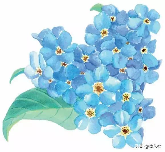 插花作品100例西方插画（你以为花艺师只会插花）(44)