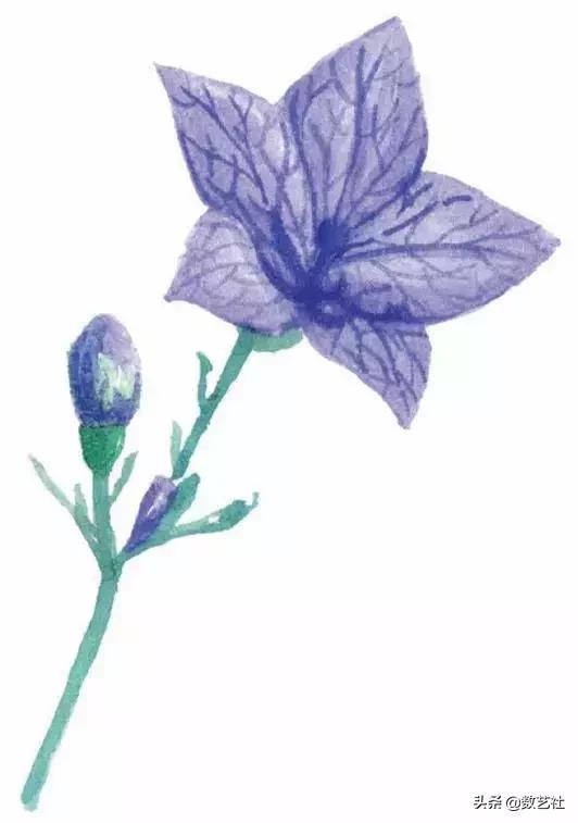 插花作品100例西方插画（你以为花艺师只会插花）(32)