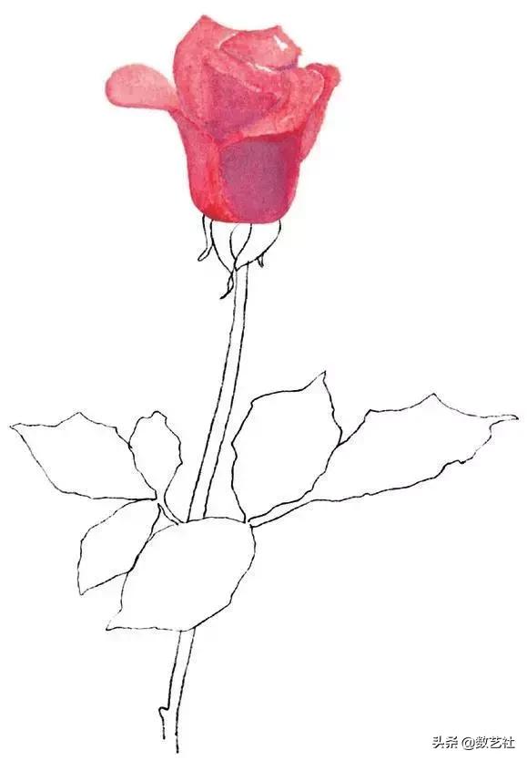 插花作品100例西方插画（你以为花艺师只会插花）(7)