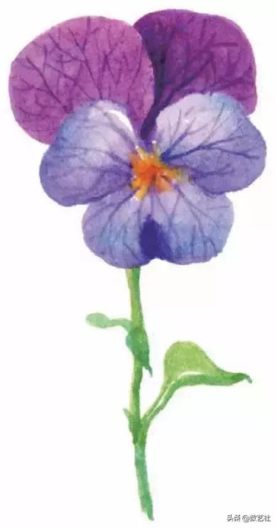 插花作品100例西方插画（你以为花艺师只会插花）(23)