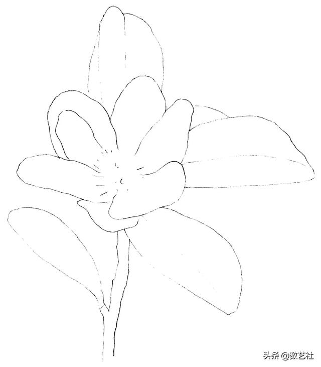 插花作品100例西方插画（你以为花艺师只会插花）(36)