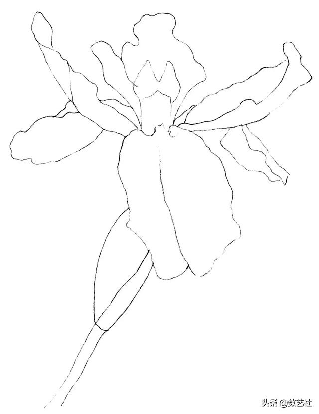 插花作品100例西方插画（你以为花艺师只会插花）(24)