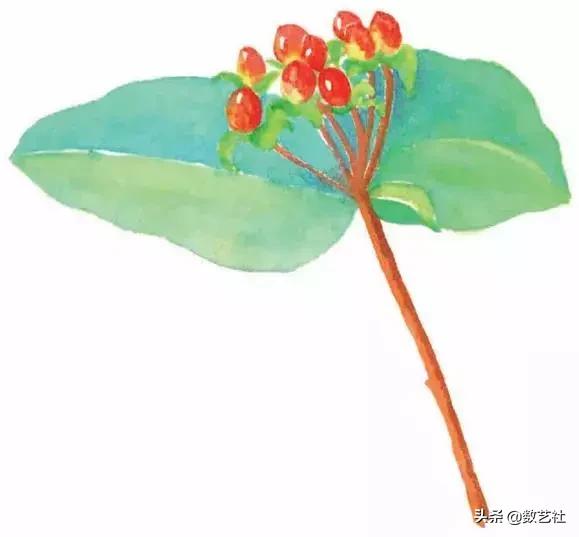 插花作品100例西方插画（你以为花艺师只会插花）(41)