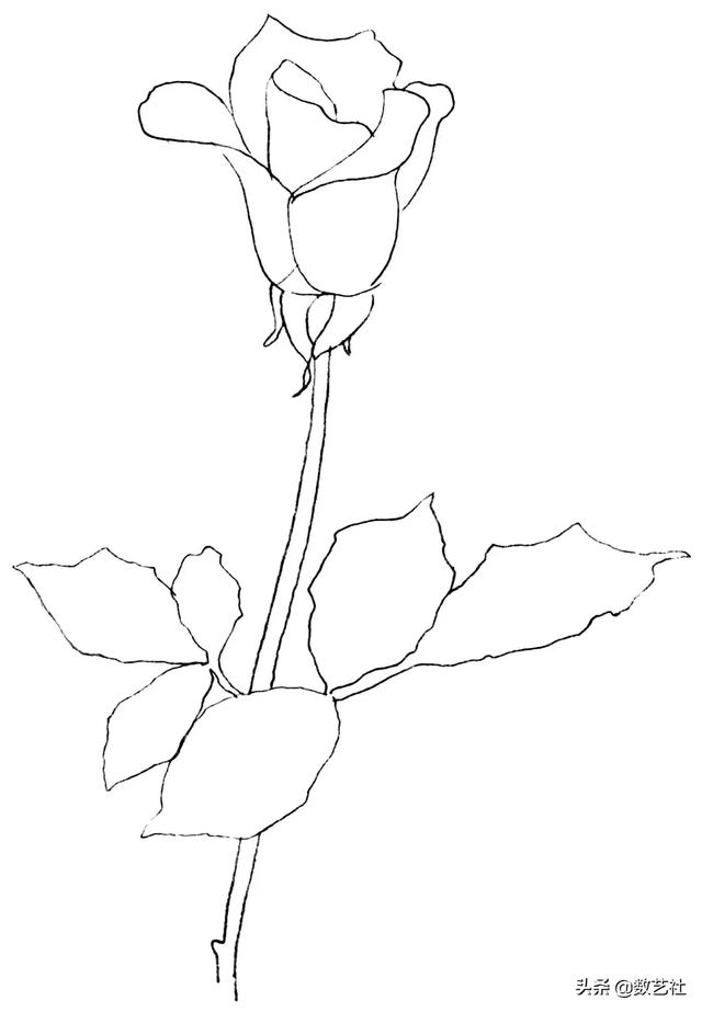 插花作品100例西方插画（你以为花艺师只会插花）(6)