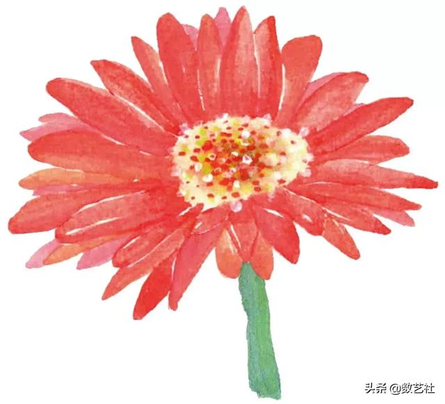 插花作品100例西方插画（你以为花艺师只会插花）(20)