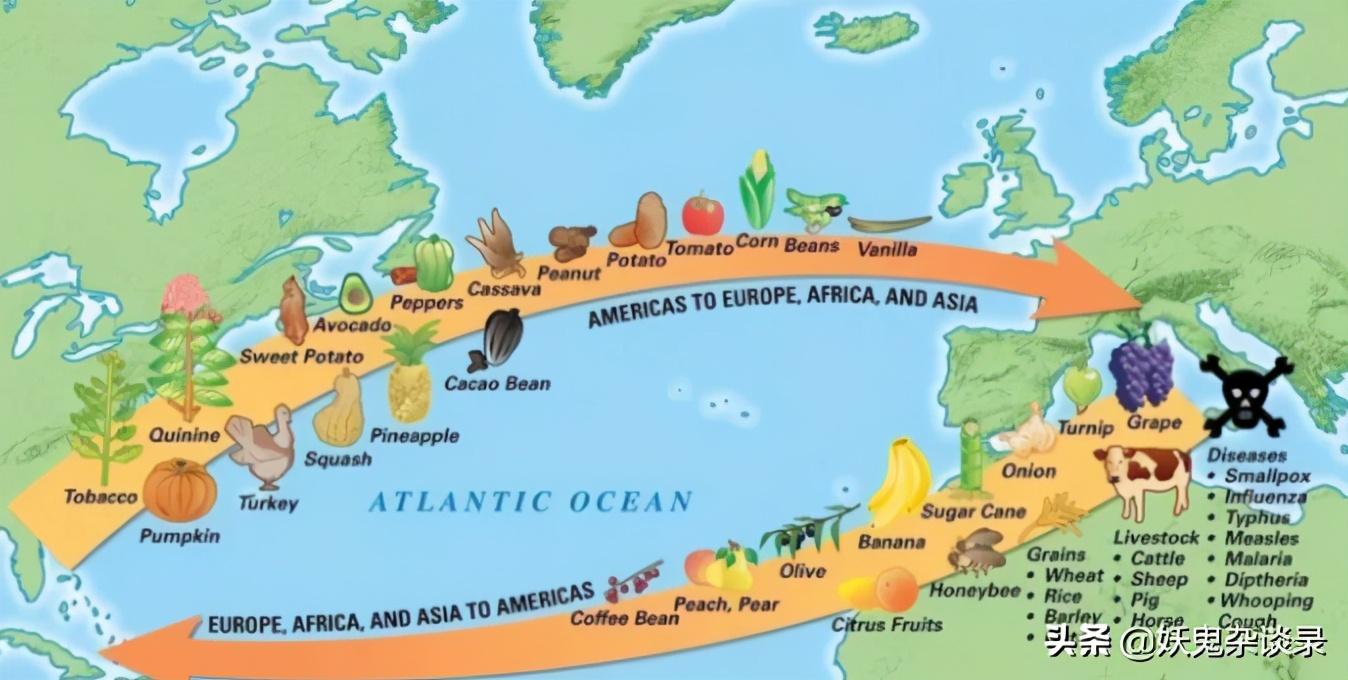 红薯是从什么时候由谁引进中国的（番薯什么时候传入中国）