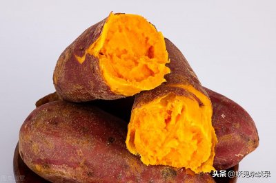 ​红薯是从什么时候由谁引进中国的（番薯什么时候传入中国）