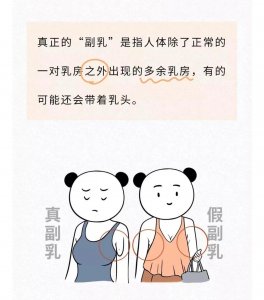 ​关于女生胸部的几个冷知识，你都知道吗？