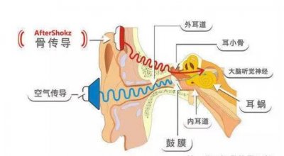 ​听觉的小知识