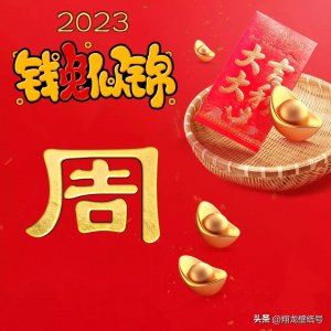 ​超级可爱的萌兔头像，我的最爱，2023不会再换头像