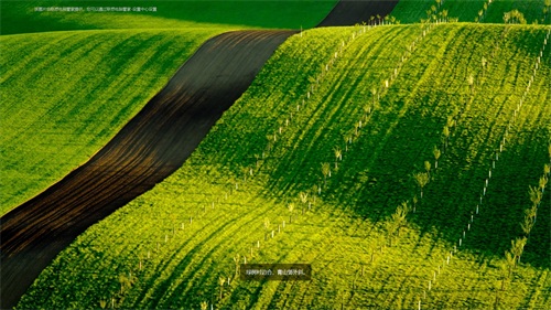 高清、清新、唯美的1920x1080电脑桌面壁纸，赶快收藏吧