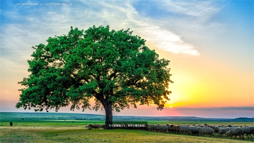 高清、清新、唯美的1920x1080电脑桌面壁纸，赶快收藏吧