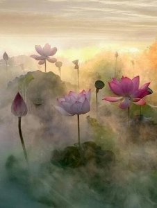 ​纳兰性德十首巅峰之作，读完受益一生。