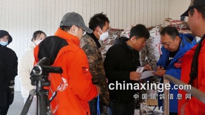 ​辽宁丰羽心动时刻 530公里淬练鸽王