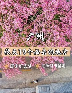 ​19个广州秋天必去的地方，错过等一年！