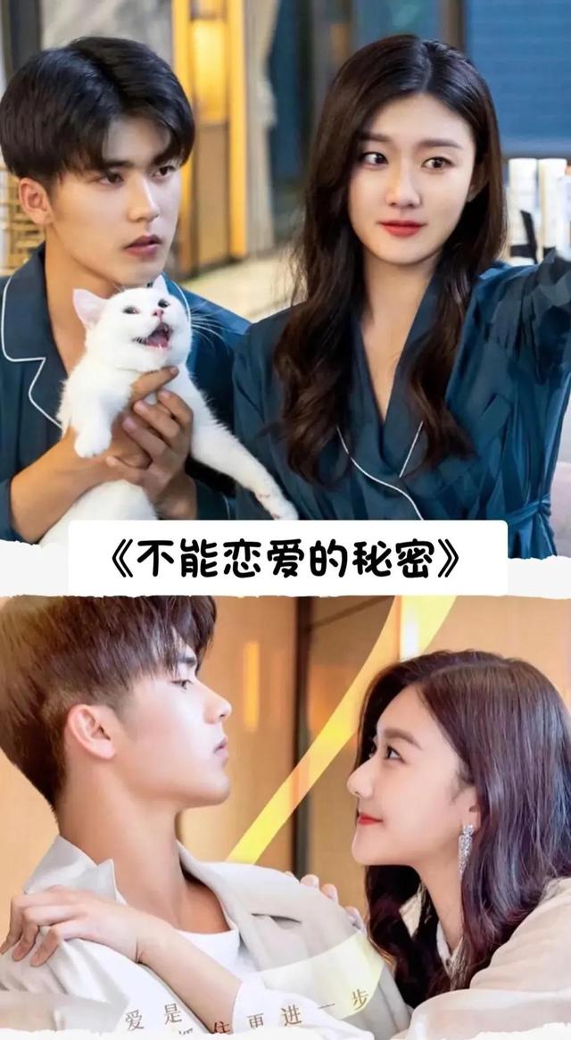 十部最好看的青春偶像剧（22部令你百看不厌的青春偶像剧）(11)