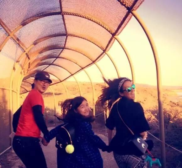 孙俪陈建斌个人资料 重组的家庭会狗血(15)